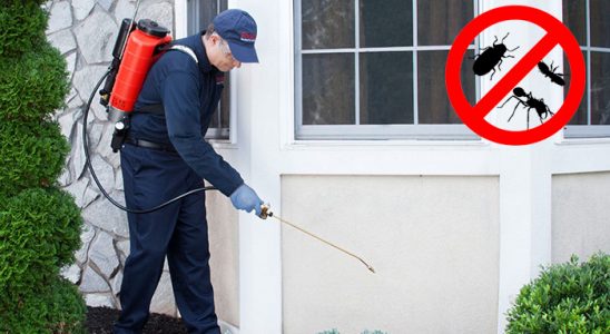 Basınsitesi Kene İlaçlama böcek ilaçlama ve haşere kontrolü — ilaclama-tr.com
